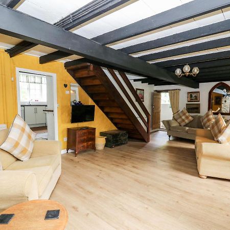 Maesgwyn Villa Cardigan Kültér fotó